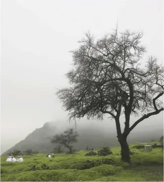  ??  ?? People enjoy a picnic under the foggy weather of southern Oman’s summer monsoon in the Jabal Ayoub mountains north of Salalah yesterday. The otherwise extremely arid region blooms when the monsoon, known as “al-khareef” in Arabic, drenches the southern...