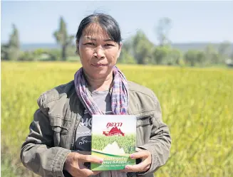  ??  ?? Toon Phaohom grows chemicalfr­ee rice in Udon Thani.