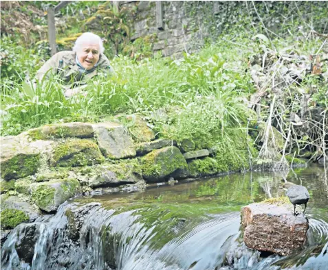  ?? ?? Sir David Attenborou­gh in action for Secret World of Sound, which uses advanced audio technology in order to reveal sounds we cannot normally hear