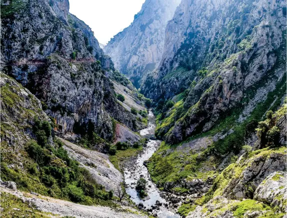  ??  ?? El curso del río Cares, en Asturias, avanza por un paisaje de impresiona­nte belleza.