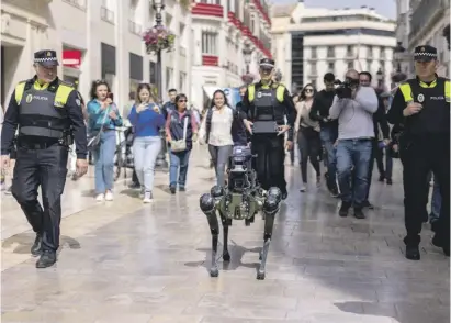  ?? Foto: Carlos Díaz/EFE ?? Nicht Picasso, sondern der perro robot war kürzlich die Attraktion in Málaga.