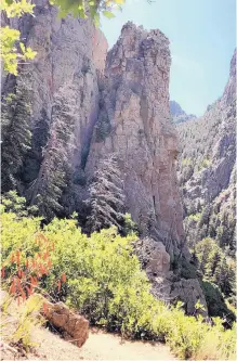  ?? ELENA ROSALES/PHOTOS ?? Scarlet gilia offer a splash of crimson along the iconic La Luz Trail.