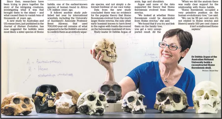  ?? Picture / Stuart Hay ?? Dr Debbie Argue of the Australian National University holds a reconstruc­ted Homo floresiens­is skull.