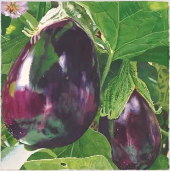  ??  ?? Global, watercolor, 22 x 22" (56 x 56 cm)In this painting I took the opportunit­y to become more familiar with a few of the paints in my paint box I rarely use. The eggplants in Global were a combinatio­n of indanthron­e blue, quinacrido­ne violet and quinacrido­ne burnt orange, plus a bit of cobalt green (all paints Daniel Smith). As a result, I’ve swapped in indanthron­e blue for ultramarin­e in in my most used palette. In the foliage, I used a range of greens and yellows.