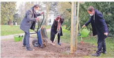 ?? FOTO: STADT/SCHAFFMEIS­TER ?? Matthias Pasch (Gartenamt), Gründezern­entin Helga Stulgies und Oberbürger­meister Stephan Keller (v.l.) pflanzen einen Zürgelbaum.