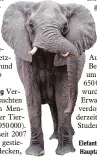  ?? Symbolfoto: dpa ?? Elefanten sind in Zoos eine der Hauptattra­ktionen.