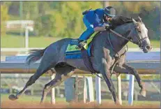  ?? BARBARA D. LIVINGSTON ?? Arrogate comes into the BC Classic off an 11-week layoff.