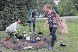  ?? SPECIAL TO THE EXAMINER ?? Pollinator gardens have become a popular way for local residents to invest in natural pollinatio­n process in Peterborou­gh.