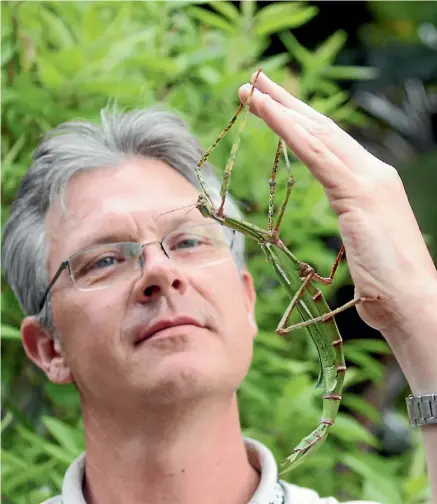  ?? NICOLE LAWTON ?? Richard Gibson, the curator of birds and ectotherms at Auckland Zoo, with a goliath stick insect.