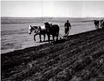  ?? ?? Farmers plow the fields on a large State farm in northeaste­rn China, 1984