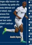  ??  ?? André Ayew.