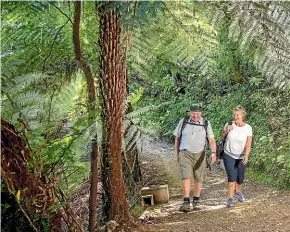  ?? ?? The Kaipupu Sanctuary is pristine native bush and is popular with day trippers, school groups and overseas tourists.