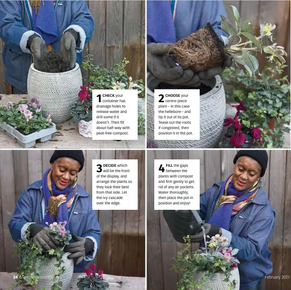  ??  ?? 1 CHECK your container has drainage holes to release water and drill some if it doesn’t. Then fill about half-way with peat-free compost.
3 DECIDE which will be the front of the display, and arrange the plants so they look their best from that side. Let the ivy cascade over the edge.
2 CHOOSE your centre-piece plant – in this case the hellebore – and tip it out of its pot. Tease out the roots if congested, then position it in the pot.
4 FILL the gaps between the plants with compost and firm gently to get rid of any air pockets. Water thoroughly, then place the pot in position and enjoy!