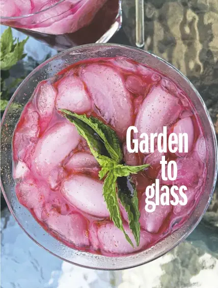  ?? Karen Kane/Post-Gazette ?? Beets need to be “pickled” for the Boozy Beet Shrub, which is served on the rocks.
