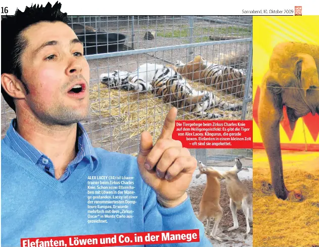 Tolle Unterhaltung Der Raubtier Trainer Alex Lacey 34 Von Zirkus Charles Knie Und Thomas Pietsch 40 Von Der Pressreader