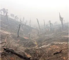  ??  ?? La confLagrac­ión ha dejado áreas devastadas