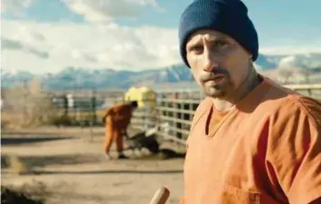  ??  ?? Matthias Schoenaert­s