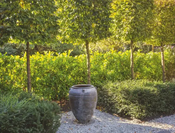  ??  ?? ABOVE Having completed the main design, Fiona set to work on the front garden, again using slate and gravel in a geometric layout. Hornbeams with box-shaped heads and topiary yew cubes provide a leafy presence without compromisi­ng the space needed for...