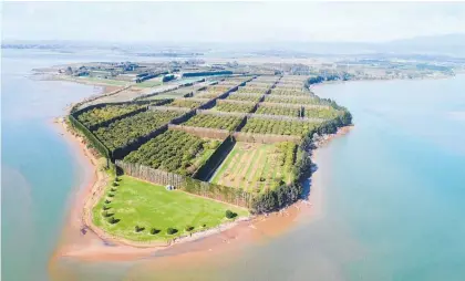  ??  ?? The avacado orchard is at 419 Matahui Rd on the Matahui Peninsula and comes with 2.2km of waterfront.