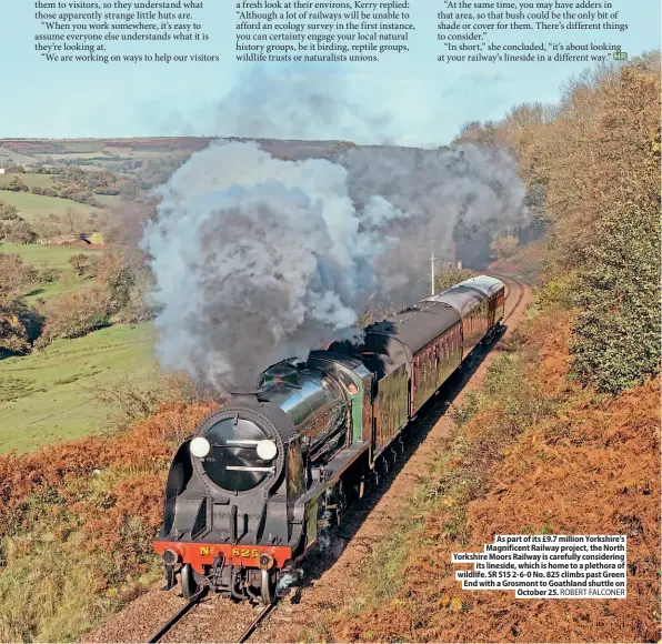  ??  ?? As part of its £9.7 million Yorkshire’s Magnificen­t Railway project, the North Yorkshire Moors Railway is carefully considerin­g
its lineside, which is home to a plethora of wildlife. SR S15 2-6-0 No. 825 climbs past Green End with a Grosmont to Goathland shuttle on
October 25. ROBERT FALCONER