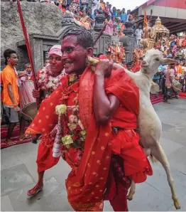  ?? — PTI ?? A priest dances as he carries a sacrificia­l goat in a procession during the three- daylong Deodhani festival at Kamakhya temple in Guwahati on Saturday.
