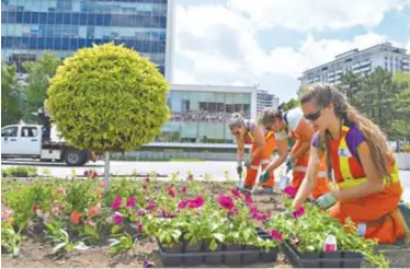  ??  ?? Dedicated staff from the Public Works Horticultu­ral division work hard to brighten up our spaces.