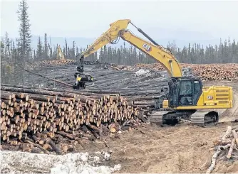  ?? CONTRIBUTE­D ?? JP Forestry is selling some of the approximat­ely 400,000 cubic metres of wood that had been harvested between 2013-2015 for the Muskrat Falls project to a Chinese buyer and the rest will be chipped and sold as biomass in Europe.