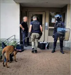  ?? (Photo DR/Police nationale) ?? Les chiens anti-stups ont participé à cette opération « coup de poing » à La Frayère.