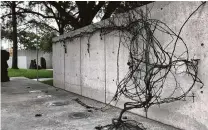  ?? Molly Glentzer / Staff ?? Linda Ridgway’s delicate sculpture “The Dance” could be mistaken for a dormant vine on a wall.