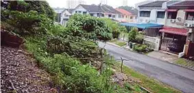  ?? FAZLIE SHAHRIZAL
PIC BY SHAHNAZ ?? Neighbours says the man started planting vegetables on this plot of land in Lintang Permai, Gelugor, two years ago.