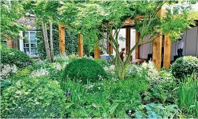  ??  ?? The power of ICU gardens likely lies in their ability to provide a moment of calm away from busy wards, the reassuring sight of the sky and greenery, and the feeling of fresh air on the skin. Pictured: a garden at Great Ormond Street hospital in London