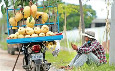  ?? HENG CHIVOAN ?? A mango vendor uses his smartphone during a break on Hun Sen Blvd in Phnom Penh’s Meanchey district in March last year.