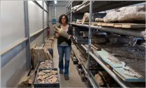  ??  ?? La arqueóloga Usilia Trapani, en el depósito situado en la propia Pompeya. Aquí se almacenan todas las vasijas, cerámicas y utensilios que se van encontrand­o día a día.