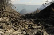  ??  ?? Some of the extensive damage caused by fires on Slieve Bloom in Co Laois. Photo: Caroline Quinn