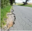  ?? Archivfoto: Christian Wunderer, Büro Grontmij ?? Wild sehen zum Teil die Randbereic­he der Verbindung­sstraße von Affing zum Aindlinger Ortsteil Gaulzhofen aus.