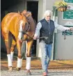  ?? GARRY JONES, THE ASSOCIATED PRESS ?? Trainer Bob Baffert and Justify are looking for another big weekend at the Preakness.