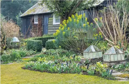  ??  ?? Victorian glass cloches look stylish and provide a little extra warmth for plants in a winter border