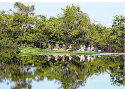  ??  ?? Flusskreuz­fahrt auf dem Rio Negro: Bei den Exkursione­n mit den Beibooten kommt man ganz nahe an die Natur- und Tierwelt von Amazónica In Kooperatio­n mit Ruefa Reisen