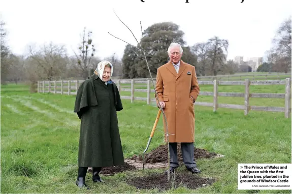  ?? Chris Jackson/Press Associatio­n ?? > The Prince of Wales and the Queen with the first jubilee tree, planted in the grounds of Windsor Castle