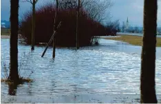  ?? Archivfoto: Radloff ?? Wo dürfen Wiesen überschwem­mt werden? Wo darf gebaut werden? Diese Fragen sind in der Debatte um den Hochwasser­schutz derzeit umstritten.
