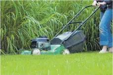  ?? FOTO: KAI REMMERS/DPA ?? Rasenmähen kann im Frühjahr lästig werden.