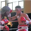  ?? Picture: MARK ANDREWS ?? FIRED UP: Sive Nontshinga will contest for the WBO Africa youth title in the flyweight division in a supporting bout at the Rumble Africa Promotion show.