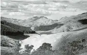  ??  ?? 1946: A historical photograph of pine plantation­s south of Barberton taken by John Acocks in 1946.
/© Plant conservati­on unit, University of Cape Town