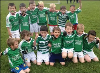  ?? The Ballyduff Under-8s that took part in their second football blitz in 2015. ??