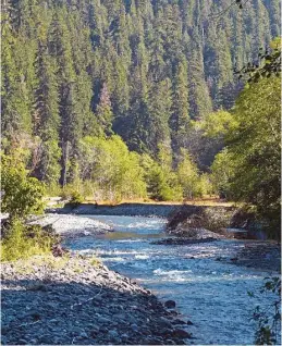  ??  ?? The Quinault River is one of many carving their way through the mountains and rainforest­s of Olympic National Park as they head to the Pacific Ocean.