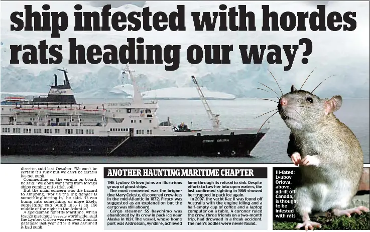 Are there rats on cruise ships photos - Tripsteru.com