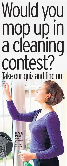  ??  ?? IT’S A PANE What’s your view on window cleaning? How long should you keep dishcloths? What should you do if you get an ink stain in the carpet? Along with a degreaser spray, what should you use to clean your hob?