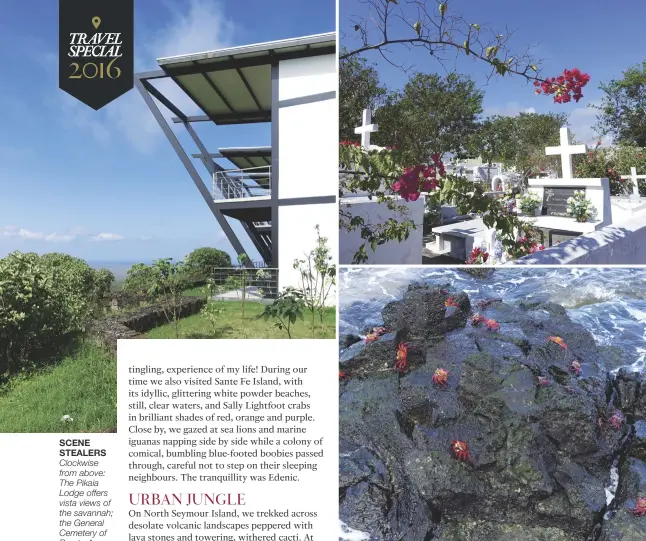  ??  ?? Clockwise from above: The Pikaia Lodge offers vista views of the savannah; the General Cemetery of Puerto Ayora; a hungry seal at the fish market; brilliantl­y hued Sally Lightfoot crabs