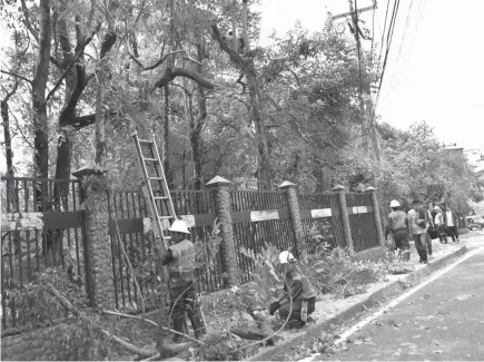  ?? Photo by Redjie Melvic Cawis ?? CLEARING. Linemen from the Benguet Electric Cooperativ­e during clearing operations in Baguio City to ensure electric cables are safe.