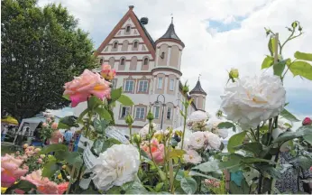  ?? FOTO: ARCHIV ?? Einer der Höhepunkte des Rosenfests im Schlosspar­k ist am Samstagabe­nd die Party „Tanz im Park“.